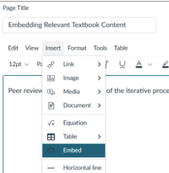 Screen shot of Canvas Embed option