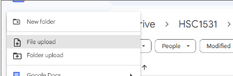 Screen shot of Google drive file upload choice
