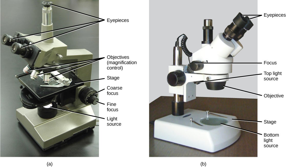 figure_03_02 pictures of microscopes