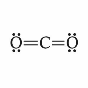This is the stable Lewis structure of carbon dioxide that contains two double bonds and two lone pairs around each oxygen.