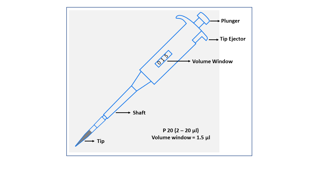 Chapter 3 Volume Measurements using Micropipettes Biology I Cellular Processes Laboratory Manual