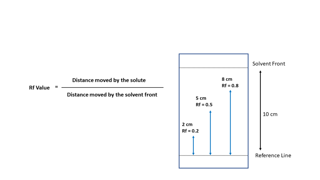Chapter 7 – Photosynthesis – Biology I Cellular Processes Laboratory Manual